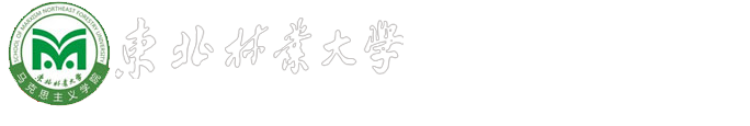 世界杯官网